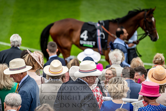 GUK Goodwood Sale 2019-41