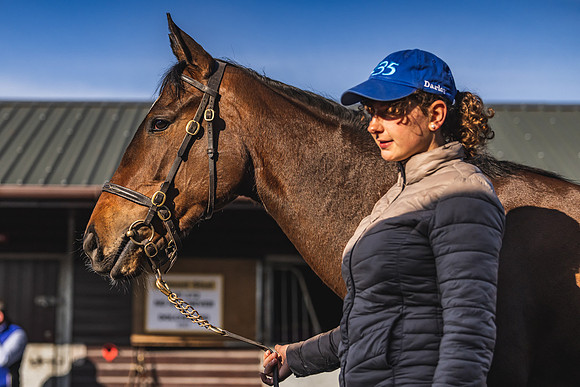 Goffs UK Breeze Up 2022-39