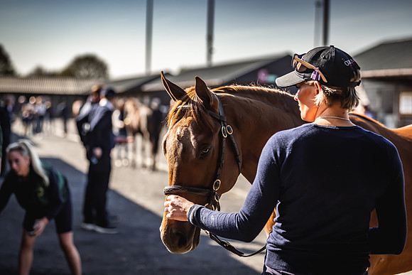 Goffs UK Breeze Up 2022-128