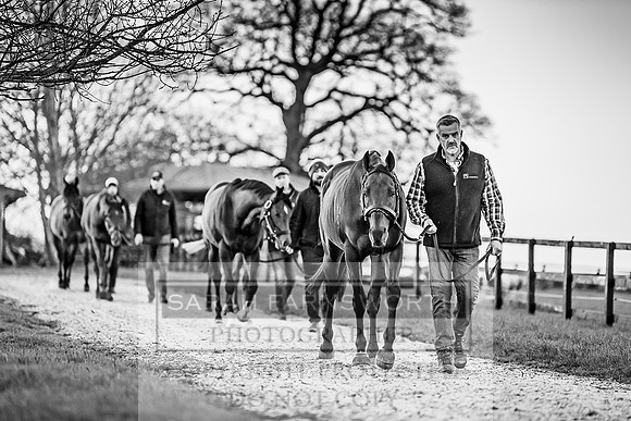 Tweenhills January 2019-34