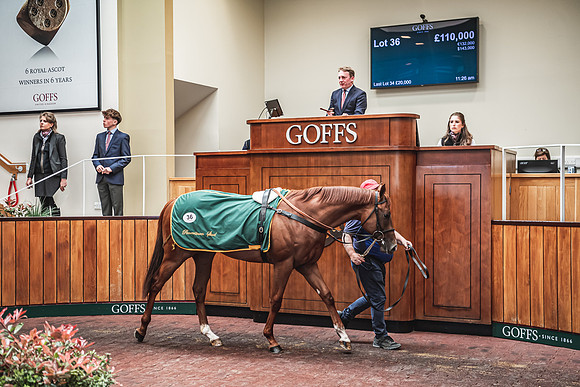 Goffs UK Breeze Up 2022-250