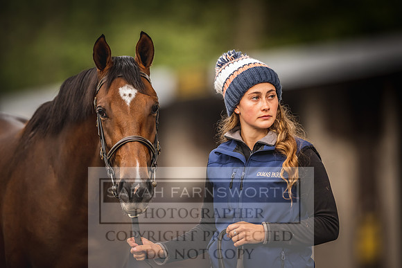 Goffs Orby 2022 Day 1-50
