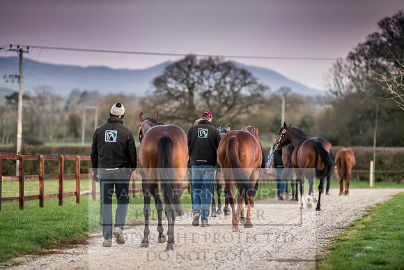 Tweenhills January 2019-39