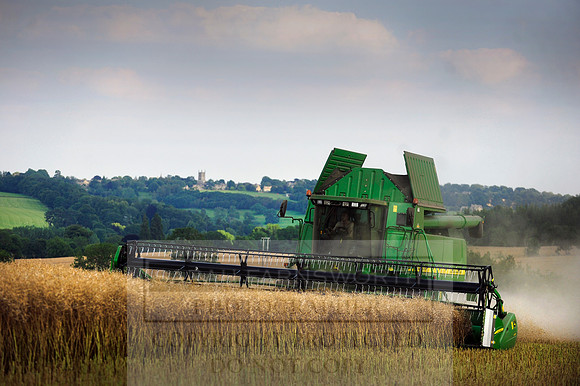 combining r-oil 025