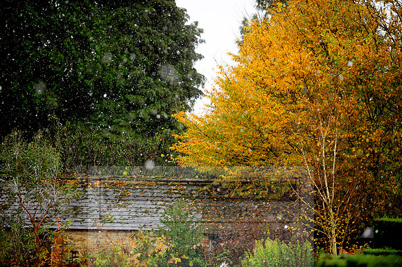 Autumn Snow 006