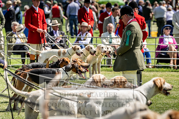Builth Hound Show 2019-77