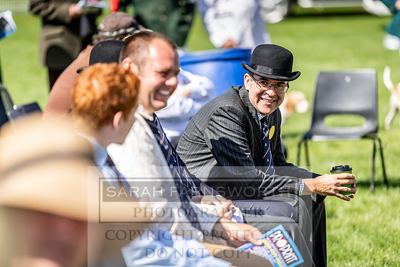 Builth Hound Show 2019-39