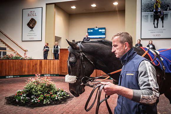Goffs UK Breeze Up 2022-240