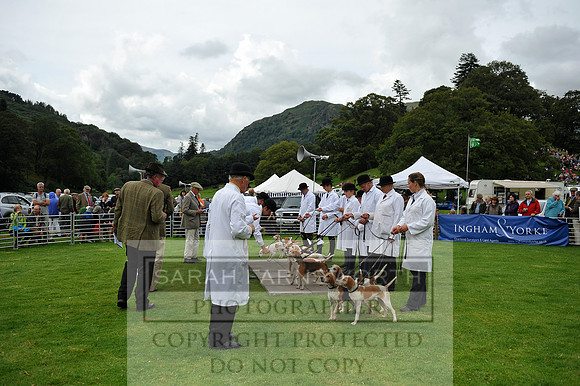 Rydal 2014 CF1 402