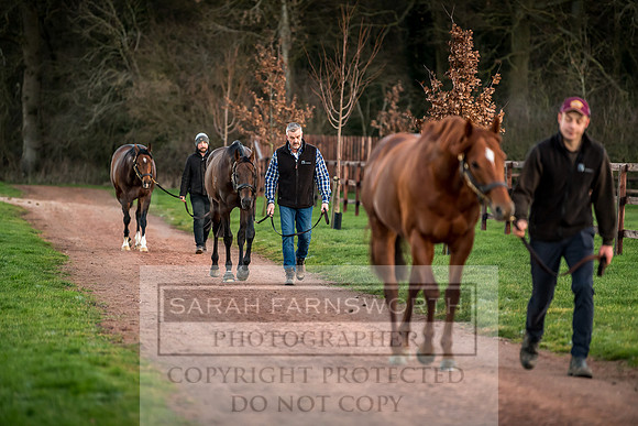 Tweenhills January 2019-49