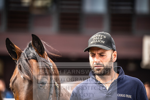 Goffs UK PY24-404