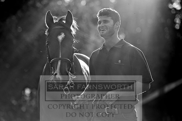 Goffs Orby 2017-357