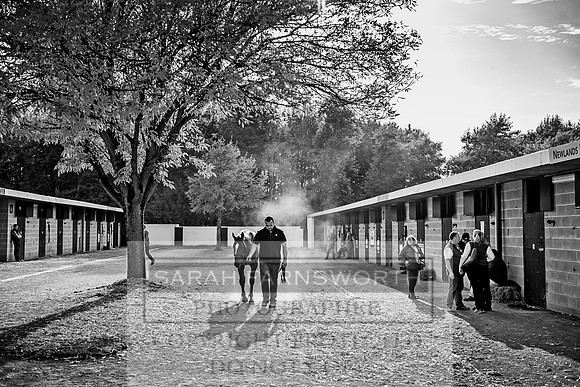 Goffs Orby 2017-307