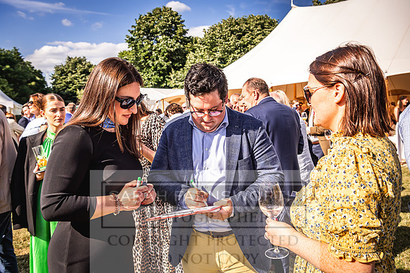 Goffs London Sale 2022-489