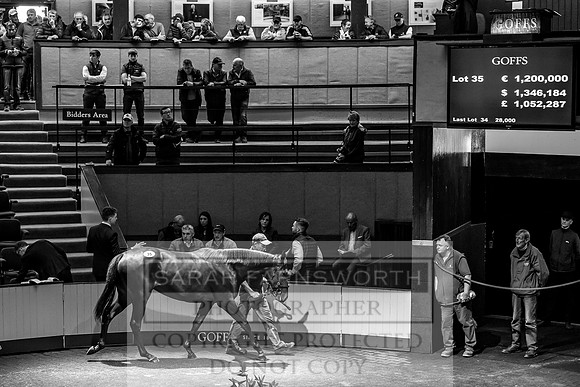 Goffs Orby 2017-200