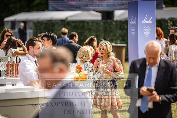 Goffs London Sale 2022-214