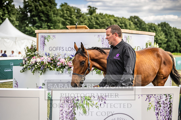 Goffs London Sale 2022-199