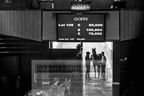 Goffs Orby 2017-215