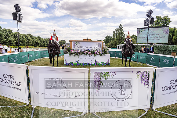 Goffs London Sale 2022-136