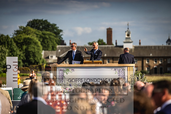 Goffs London Sale 2022-552