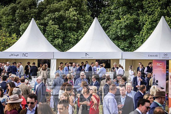 Goffs London Sale 2022-417