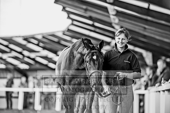 Goffs Orby 2017-400