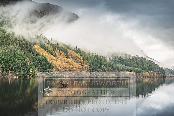 Loch Eck October 2019-8