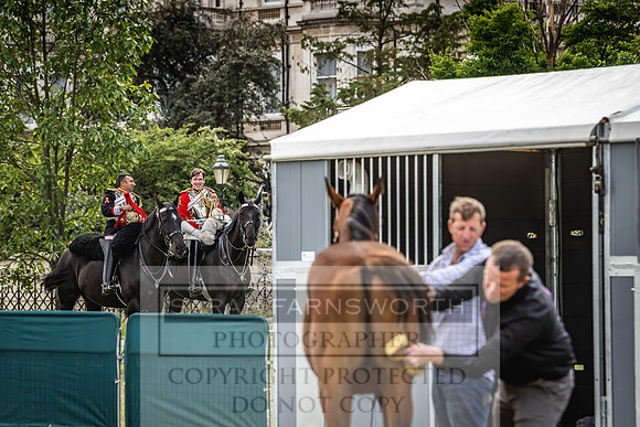 Goffs London Sale 2022-61