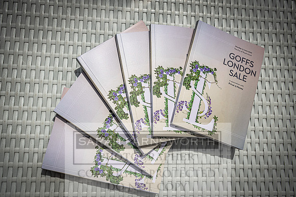 Goffs London Sale 2022-44