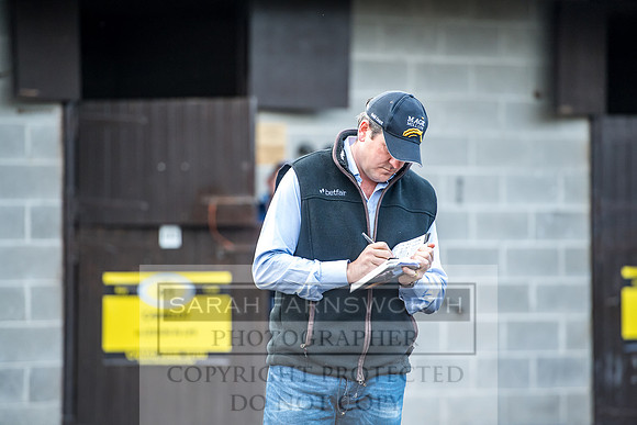 Goffs Orby 2017-83