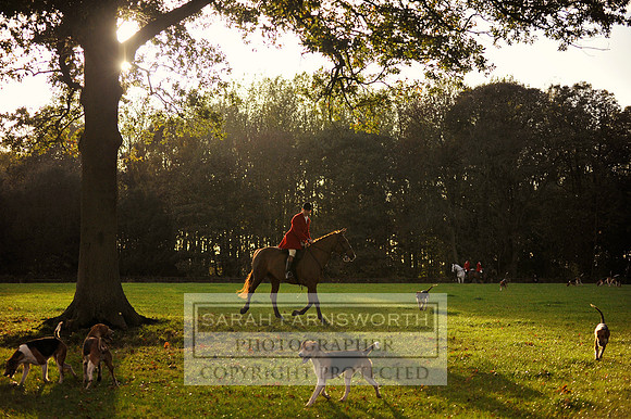 Brocklesby 021113 CF3 1272