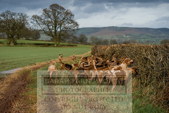 Ludlow 261215-454