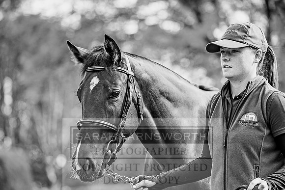 Goffs Orby 2017-187