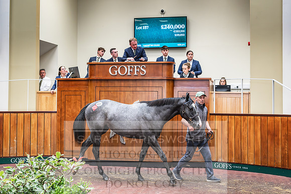 Goffs UK PY24-178