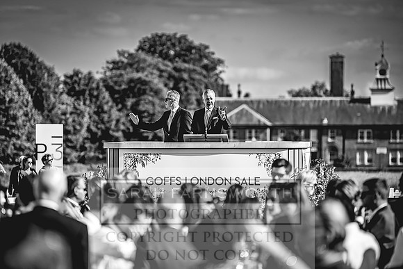 Goffs London Sale 2022-503