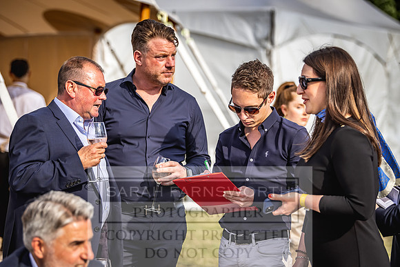 Goffs London Sale 2022-558