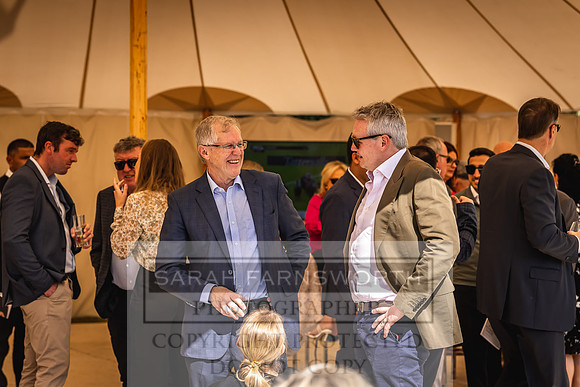 Goffs London Sale 2022-365