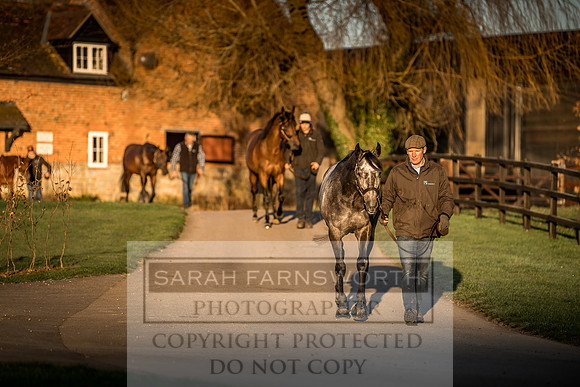 Tweenhills January 2019-104