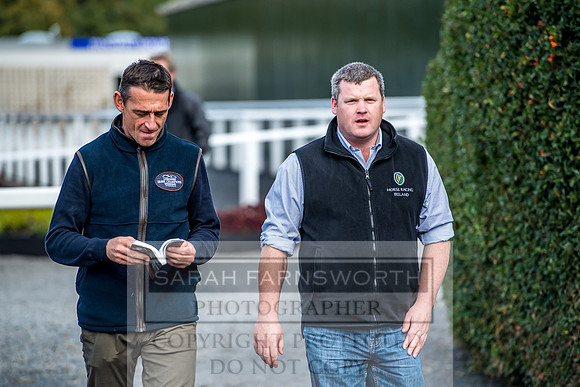 Goffs Orby 2017-290