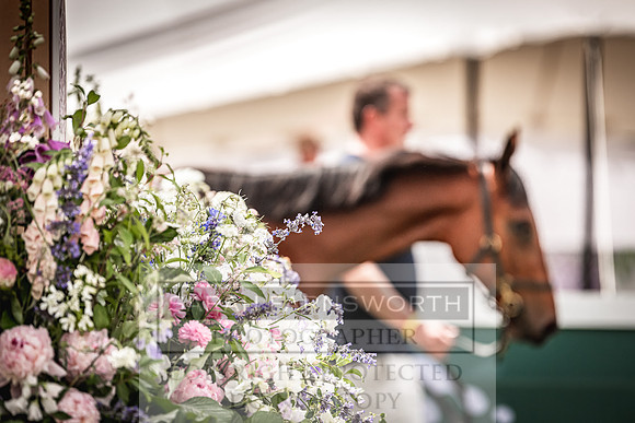 Goffs London Sale 2022-36