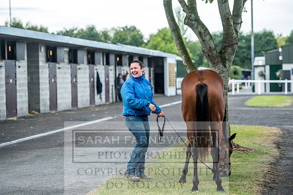 Goffs Orby 2017-55