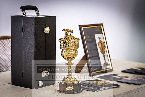Goffs London Sale 2022-139