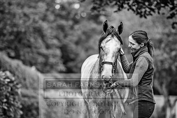 Goffs Orby 2017-15