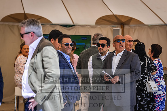 Goffs London Sale 2022-366