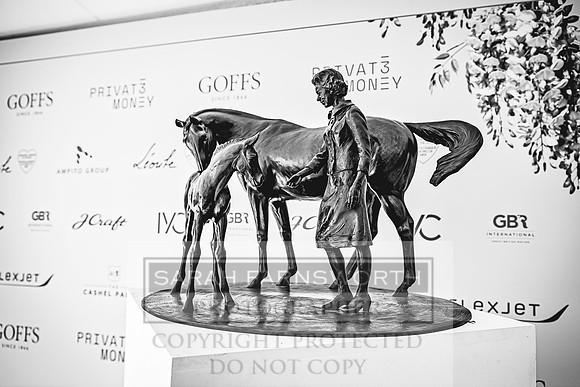 Goffs London Sale 2022-118