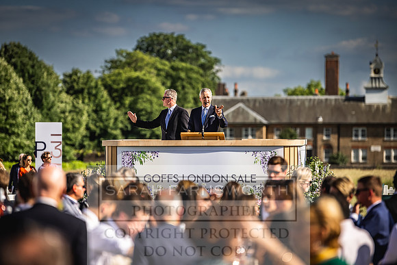 Goffs London Sale 2022-504