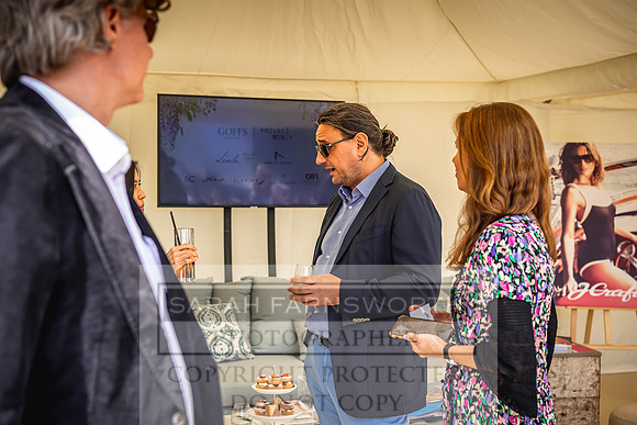 Goffs London Sale 2022-229