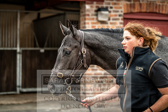 GUK Yorton Sale 2019-138
