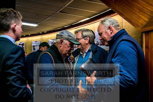 Goffs Orby 2017-368