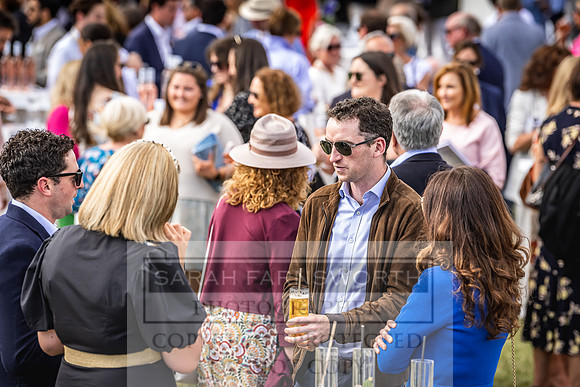 Goffs London Sale 2022-412